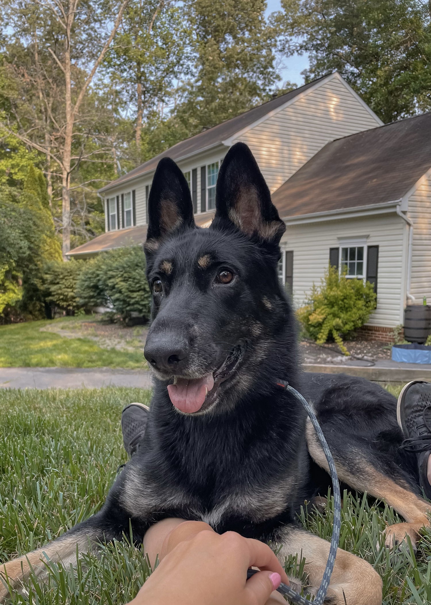 Riot - ADOPTED