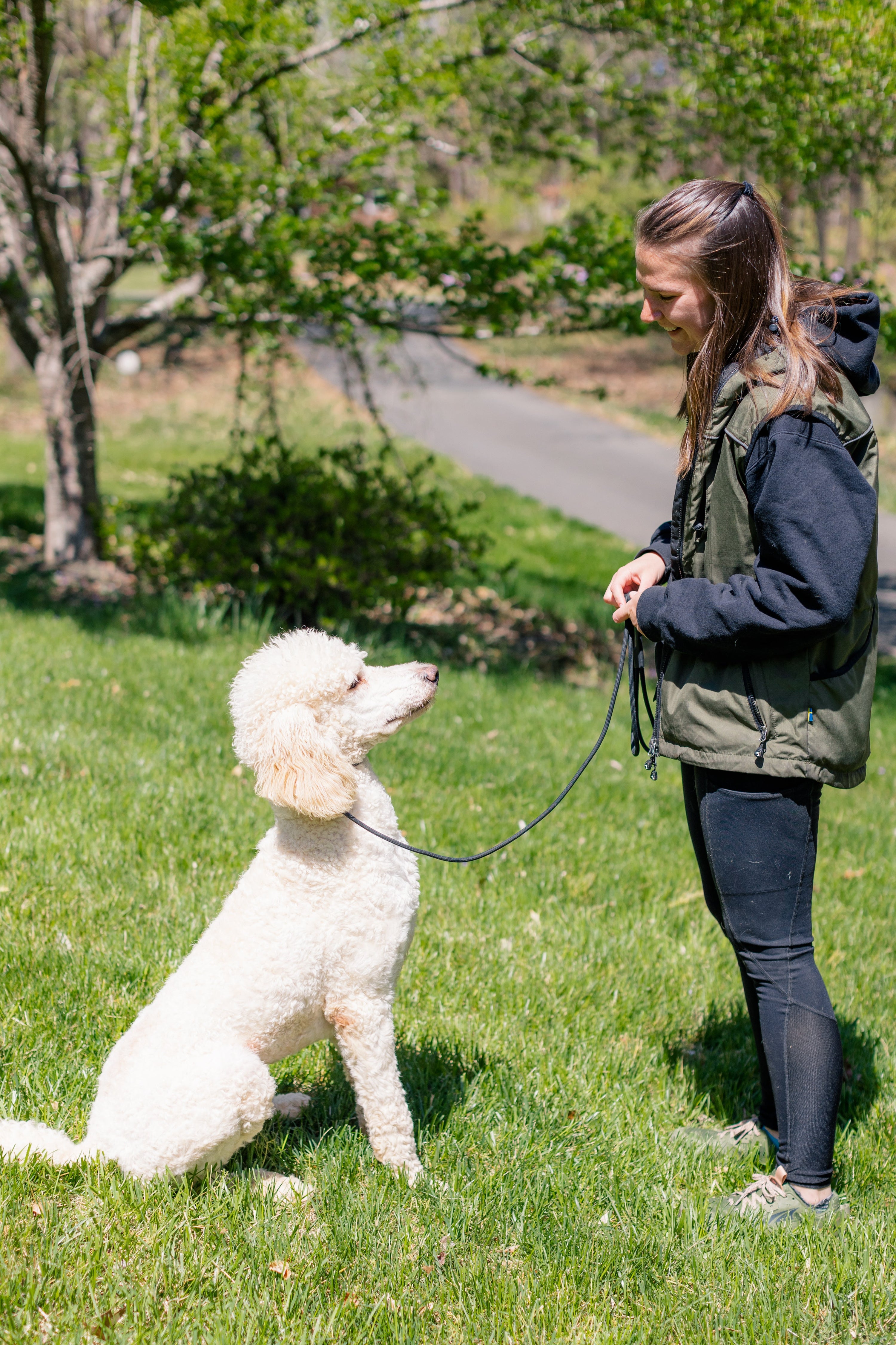 2 Week Basic Obedience Board and Train