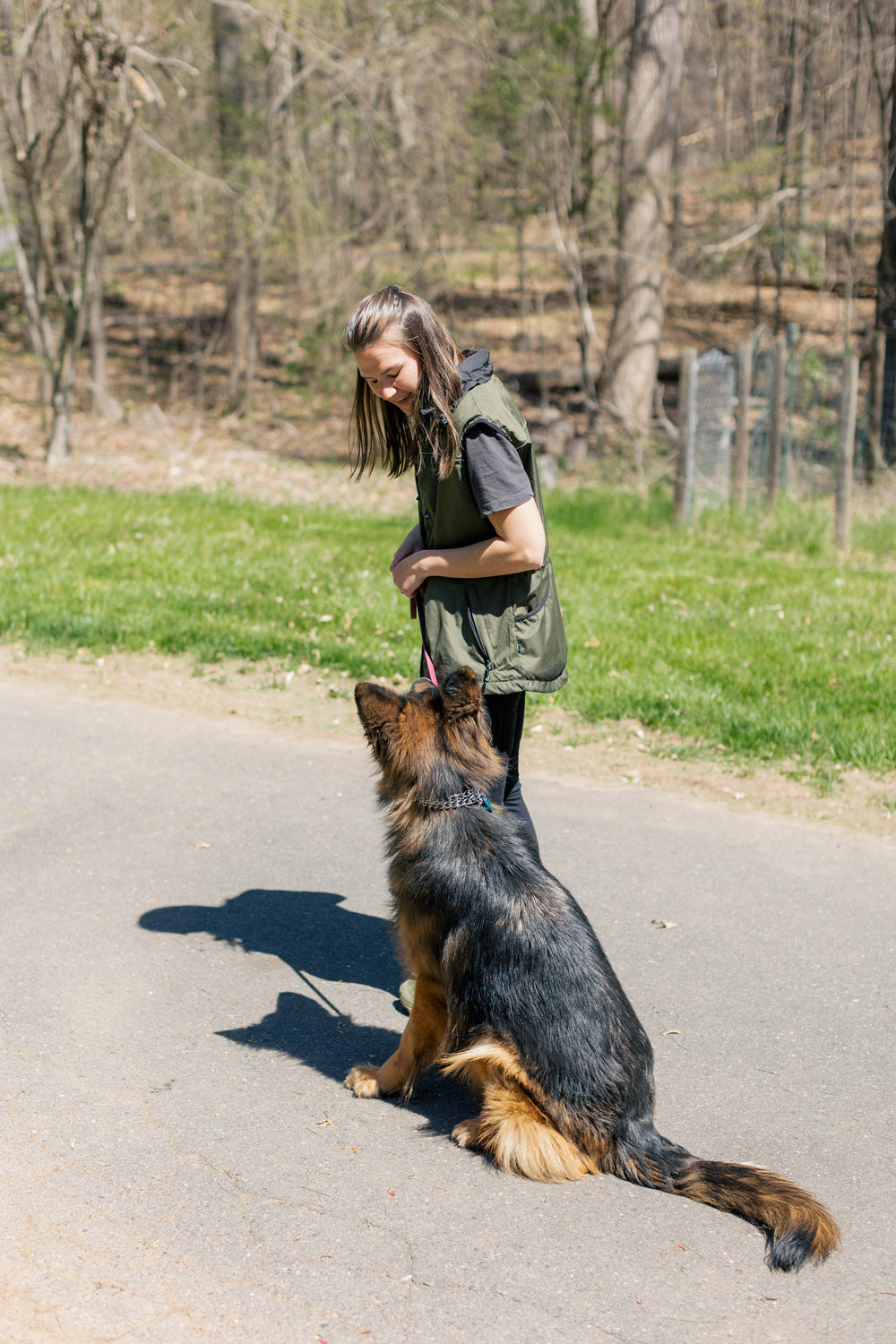 6 Week Advanced Obedience Board and Train