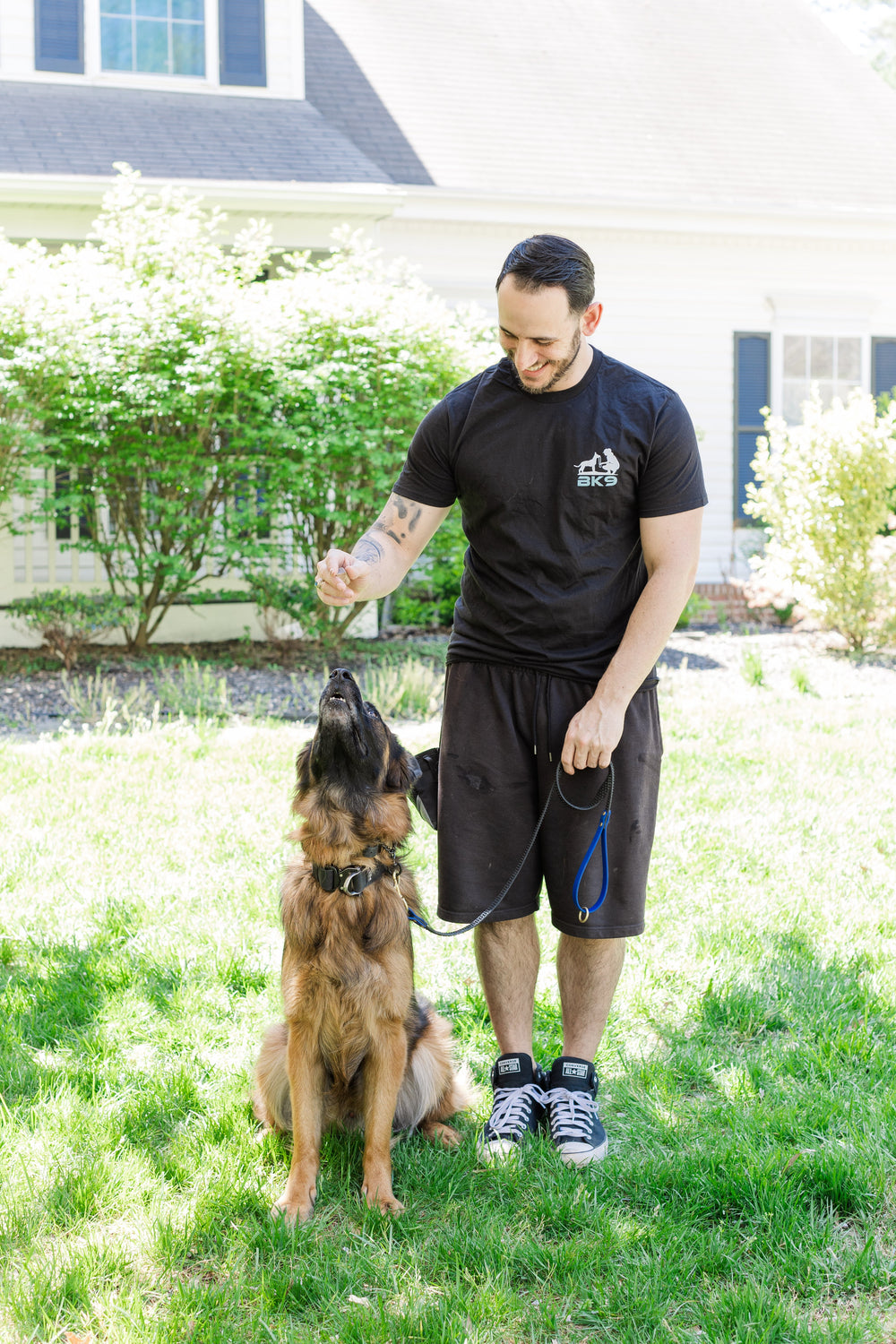 2 Week Basic Obedience Board and Train