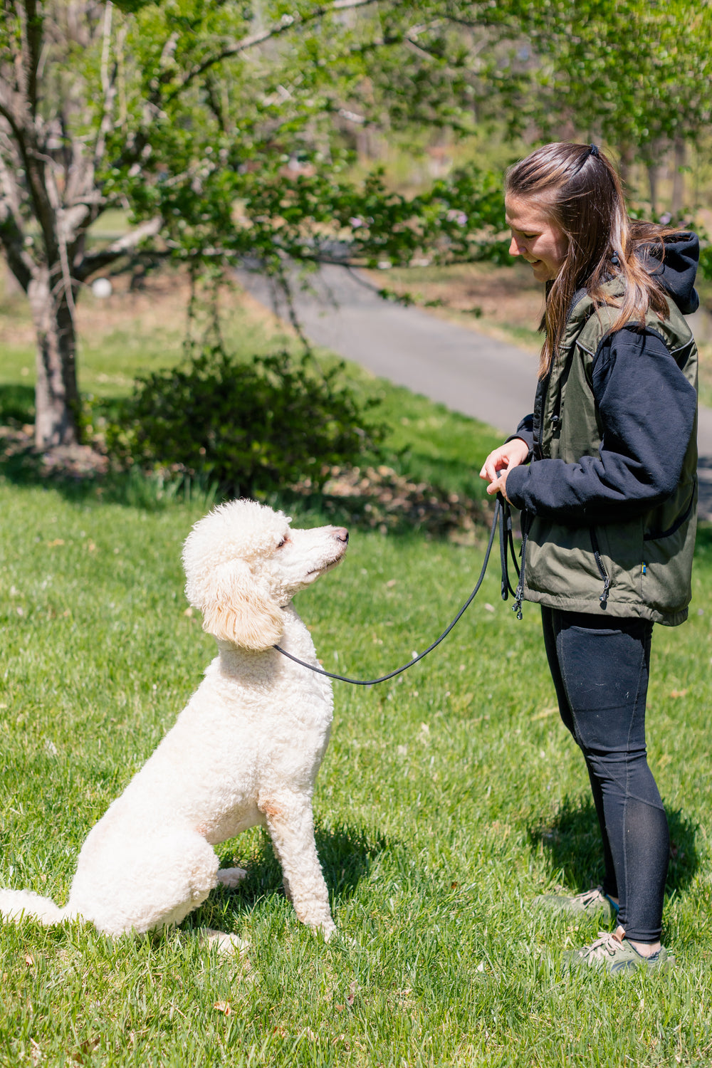 4 Week Advanced Obedience Board and Train