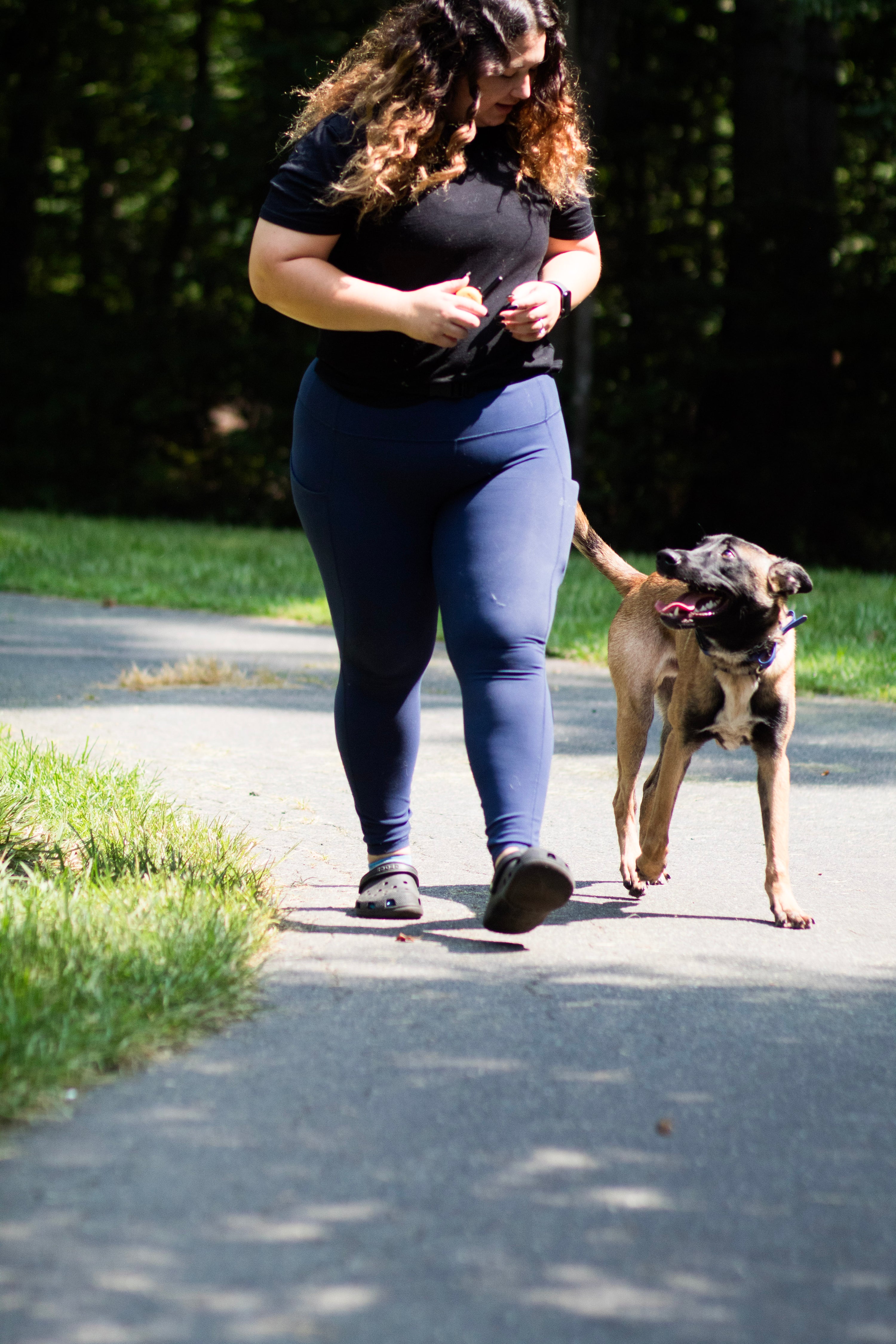 4 Week Advanced Obedience Board and Train