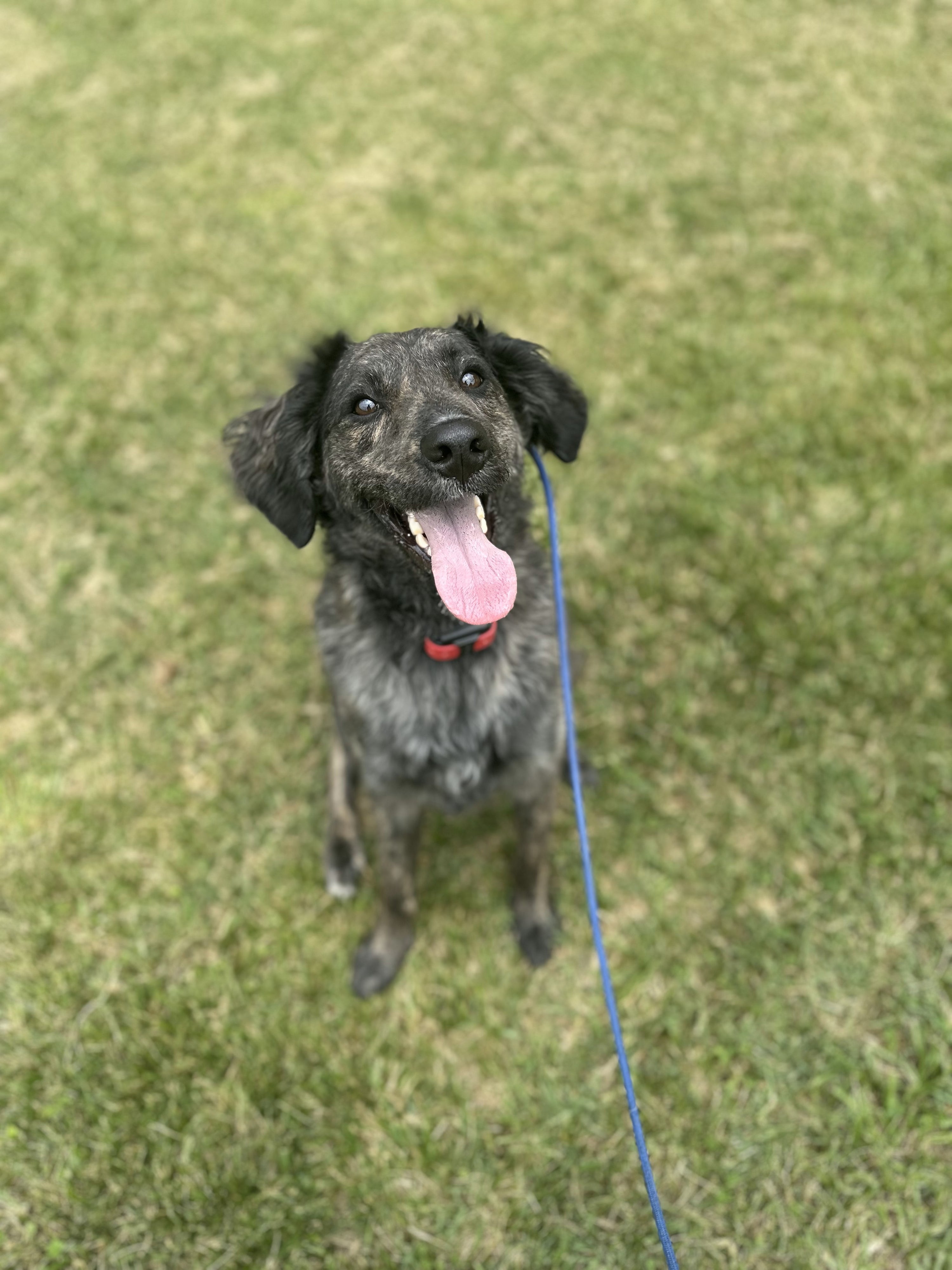 2x/Week for 8 Weeks - Day Training