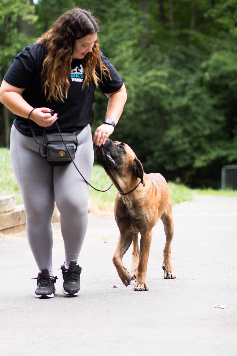 8 Week Behavior Modification Board and Train