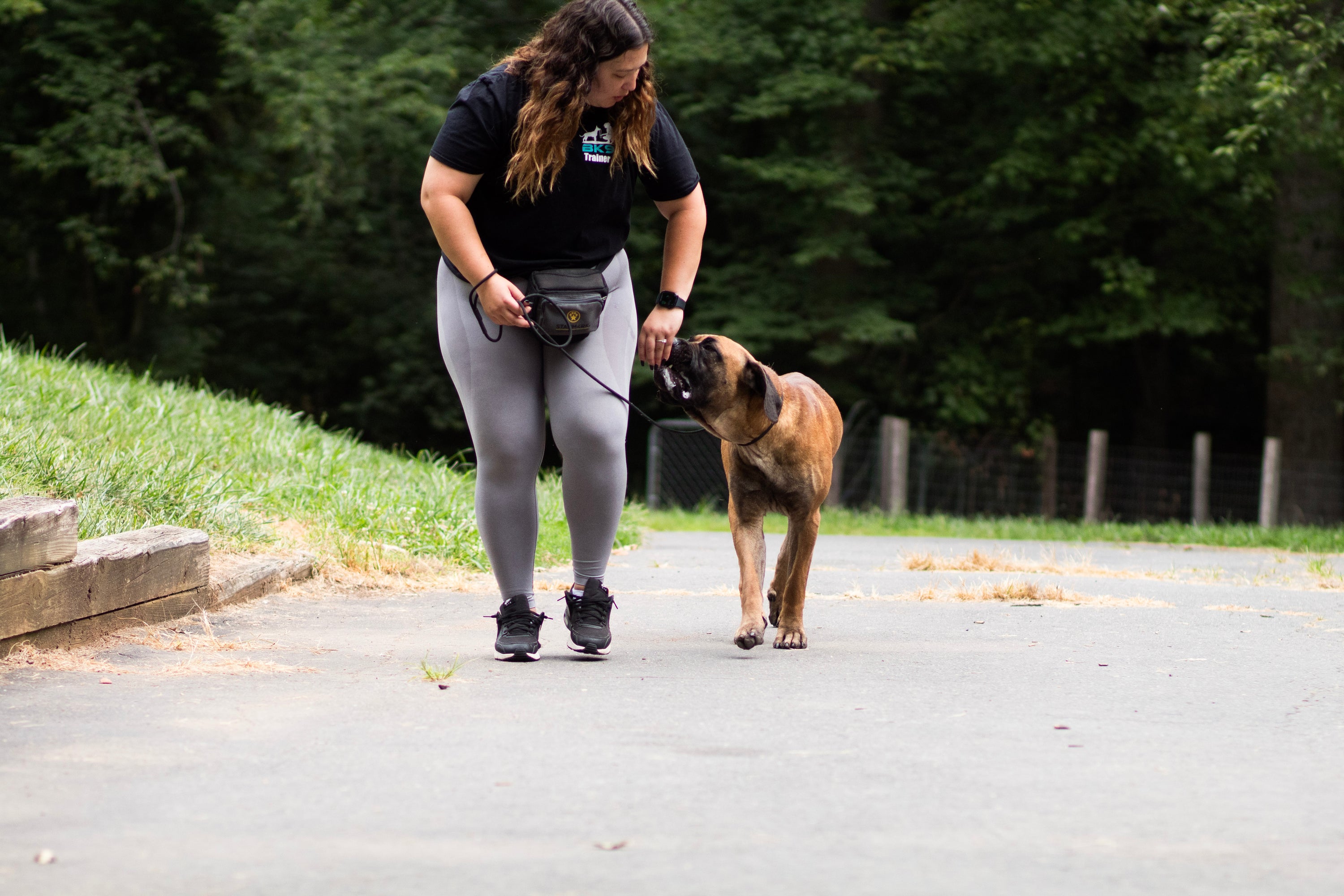8 Week Behavior Modification Board and Train