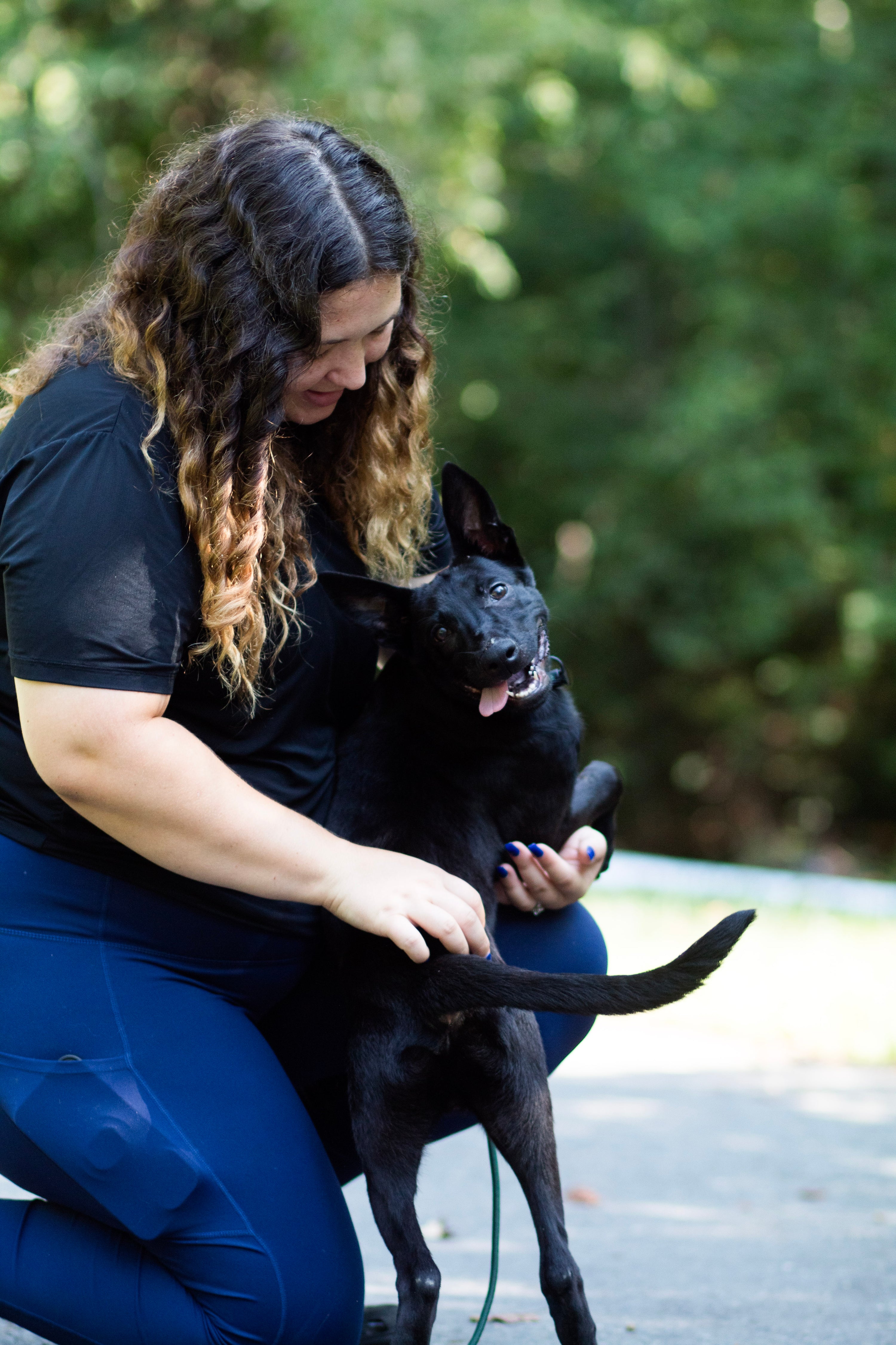 4 Week Advanced Obedience Board and Train
