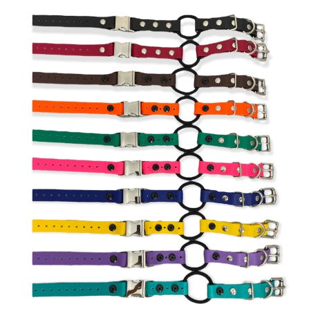 3/4" Quick Snap Bungee Collar (33" Length)