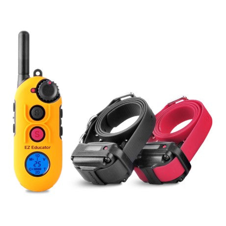 EZ-900 Two-Dog Easy Educator